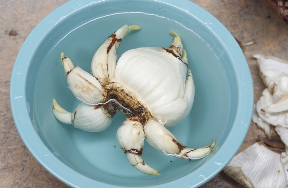 Những ngày hoa thủy tiên (2) – CÀ PHÊ VÀ SÁCH