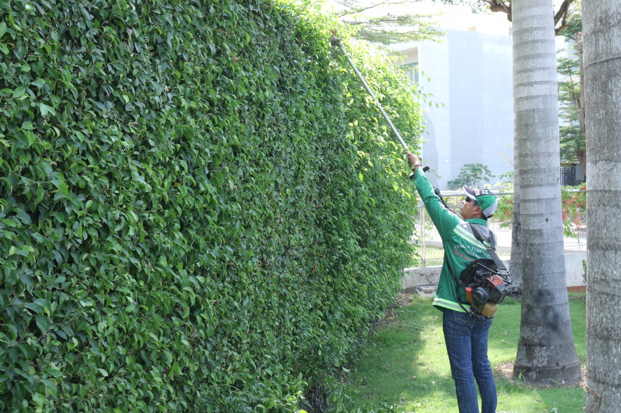banner 10