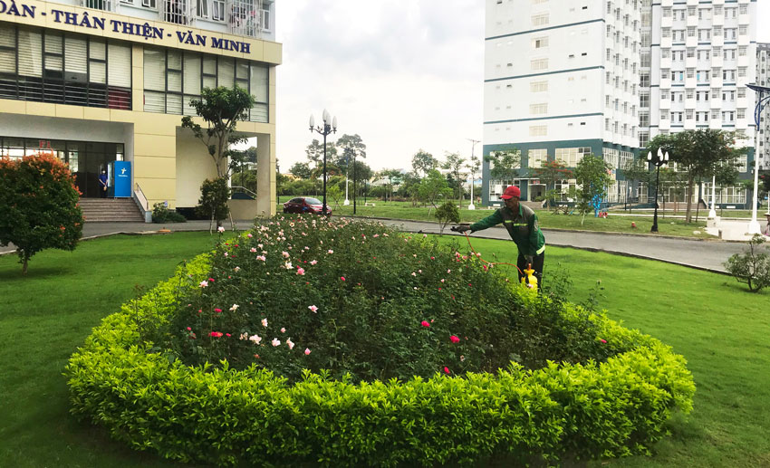 Tin tức
