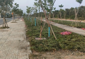 thiet-ke-va-thi-cong-cong-vien-khu-dan-cu-xuyen-a-long-an