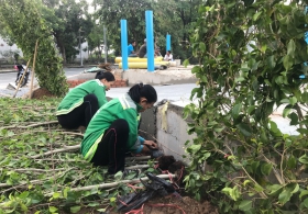 thi-cong-trong-hang-rao-sanh-va-hoa-kieng-tai-ho-bo-nha-khach-dai-hoc-quoc-gia