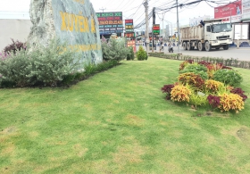 thiet-ke-va-thi-cong-doi-canh-quan-khu-dan-cu-xuyen-a-long-an