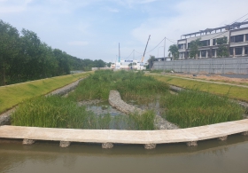 thi-cong-ho-dieu-tiet-wetland-h-binh-chanh-tp-hcm