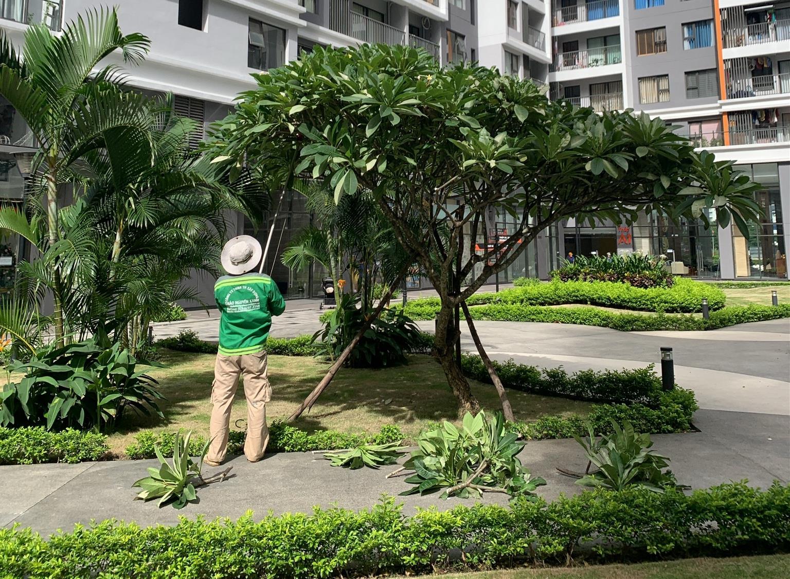 Dự án công trình
