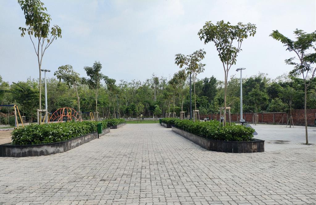 dịch vụ 1