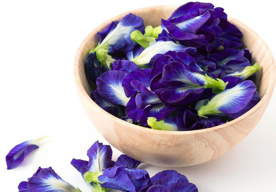Những công dụng bất ngờ của hoa đậu biếc mà bạn có thể chưa biết
