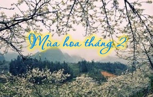 mua-hoa-thang-2