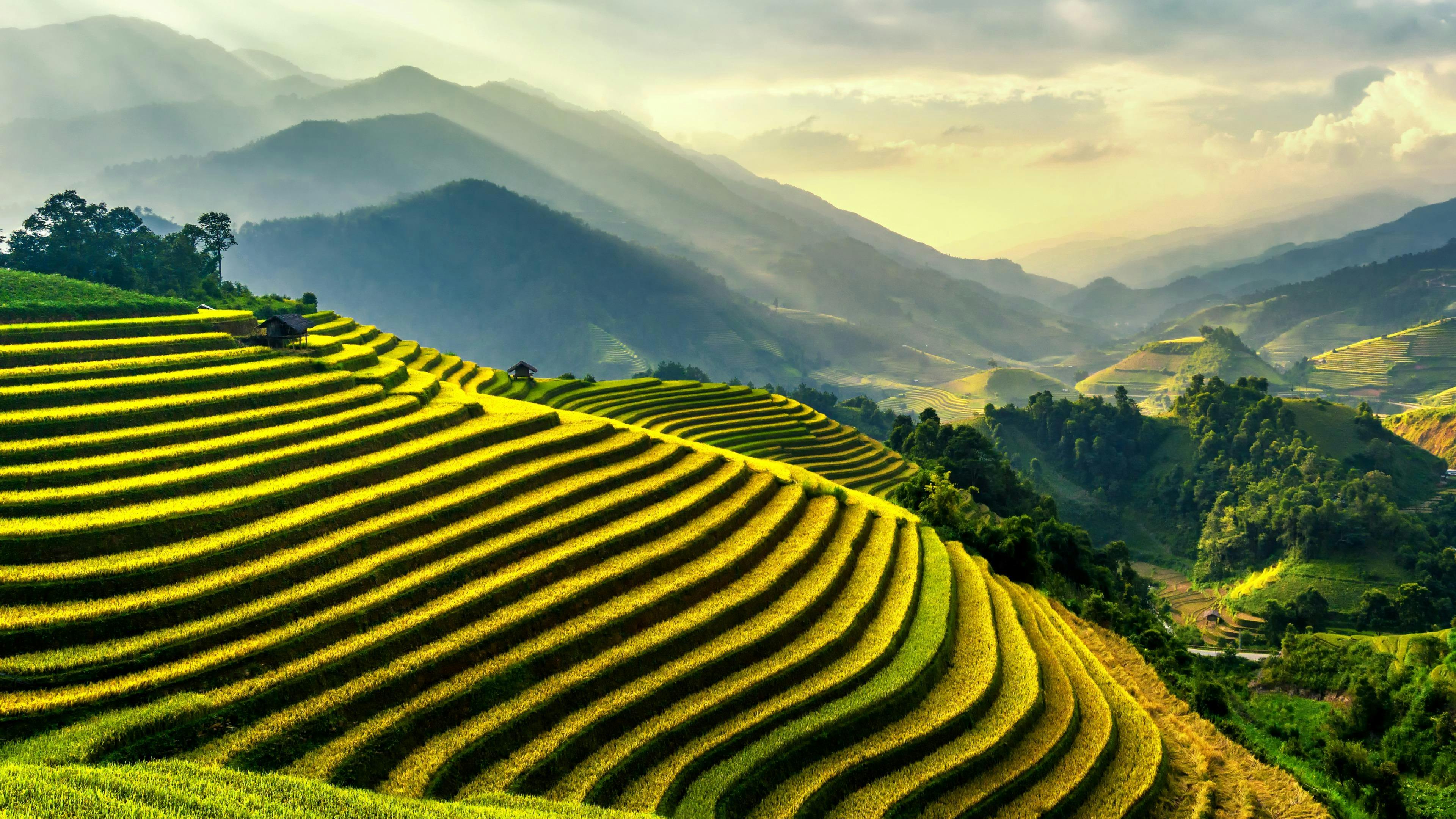 Cảnh quan nông nghiệp Việt Nam và Thế Giới